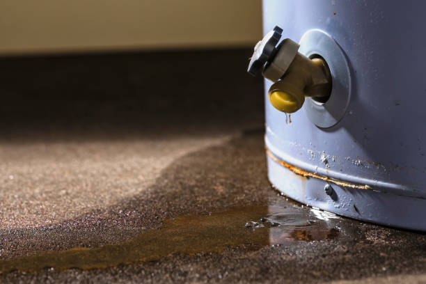 Best Commercial water damage restoration  in Kihei, HI