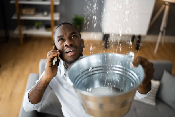 Best 24-hour water damage restoration  in Kihei, HI