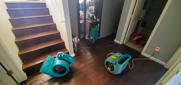 Best Flood restoration services  in Kihei, HI