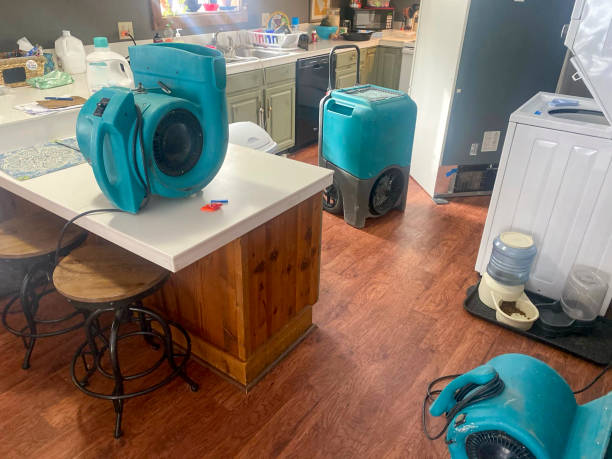 Best Carpet water damage restoration  in Kihei, HI