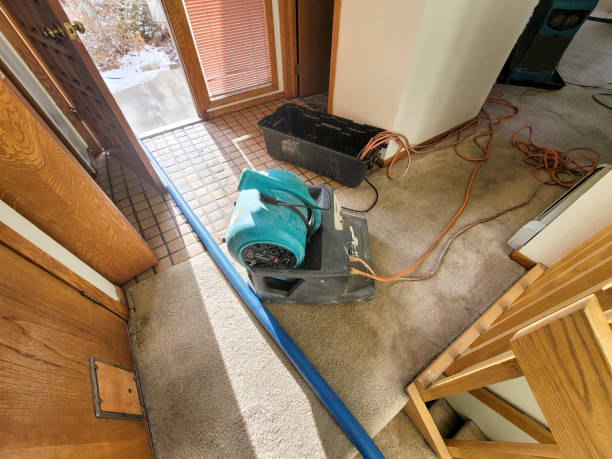 Best Water damage mitigation services  in Kihei, HI