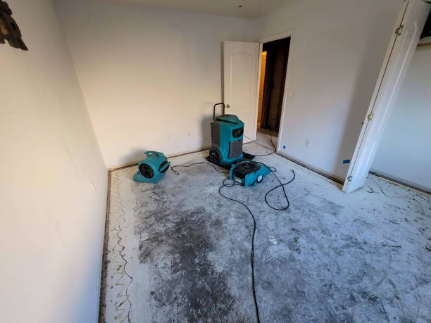 Best Sewage cleanup and water damage restoration  in Kihei, HI