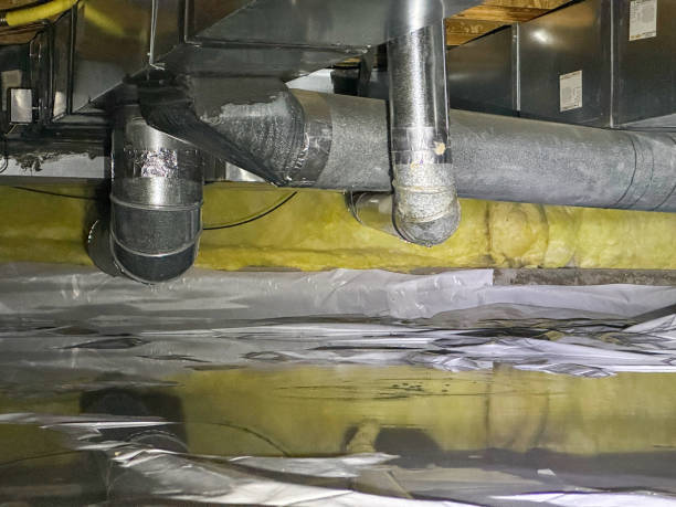 Reliable Kihei, HI Water damage restoration Solutions