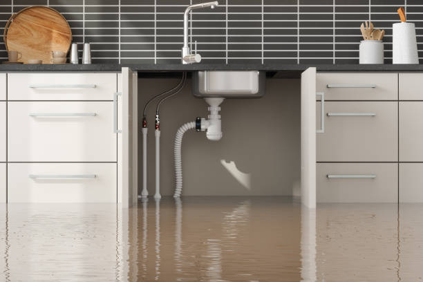 Best Water damage repair service  in Kihei, HI