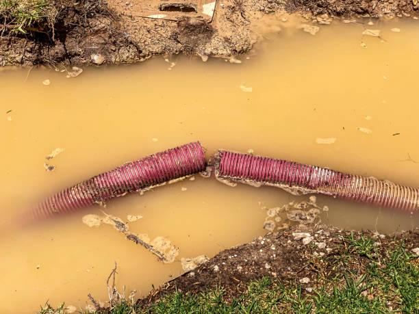 Best Water damage contractors near me  in Kihei, HI